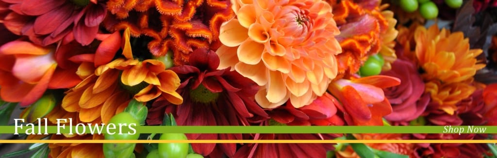 Flower Delivery to Auburn by Buds & Blooms